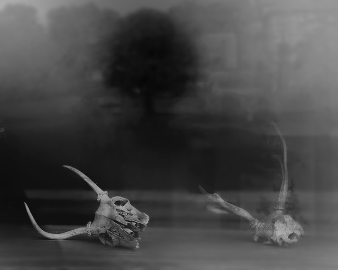 1659951327793419.png