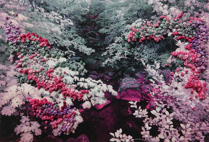1659951778997734.jpg