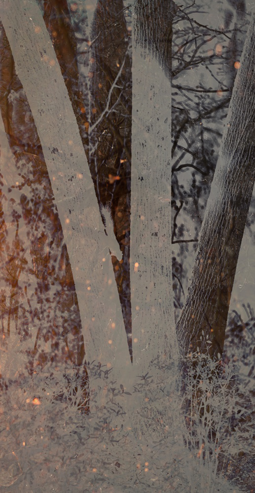1659952315122885.png