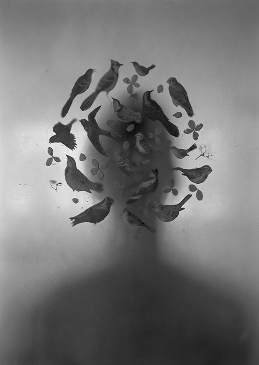 1659952406115970.png