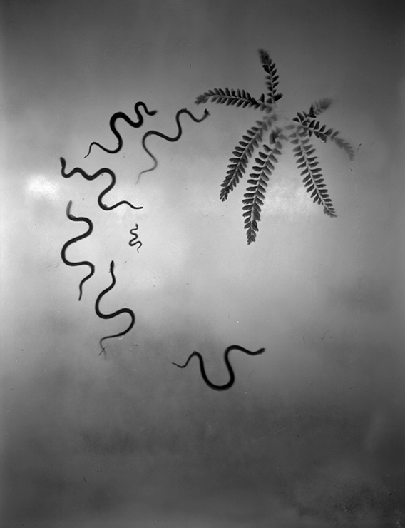 1659952406135429.png