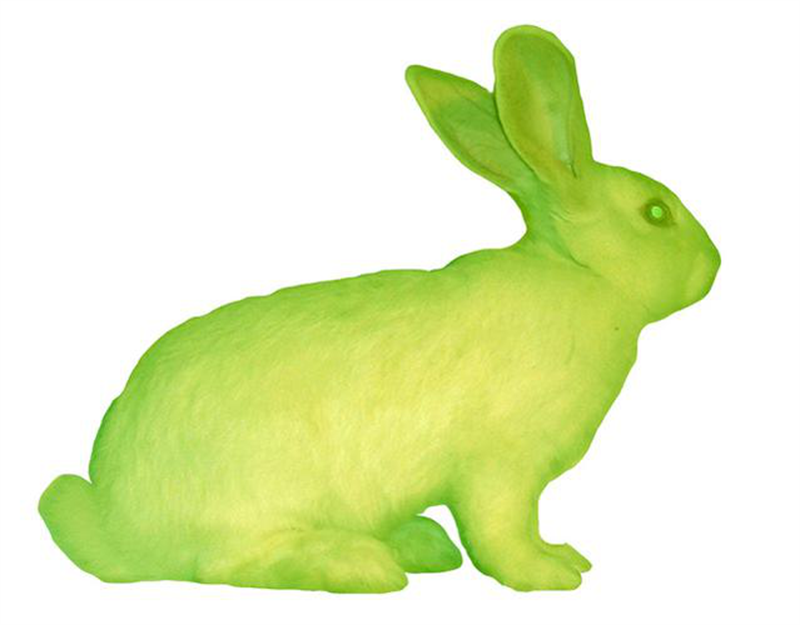 《绿色荧光蛋白兔》爱德华多·卡茨（美国）.png