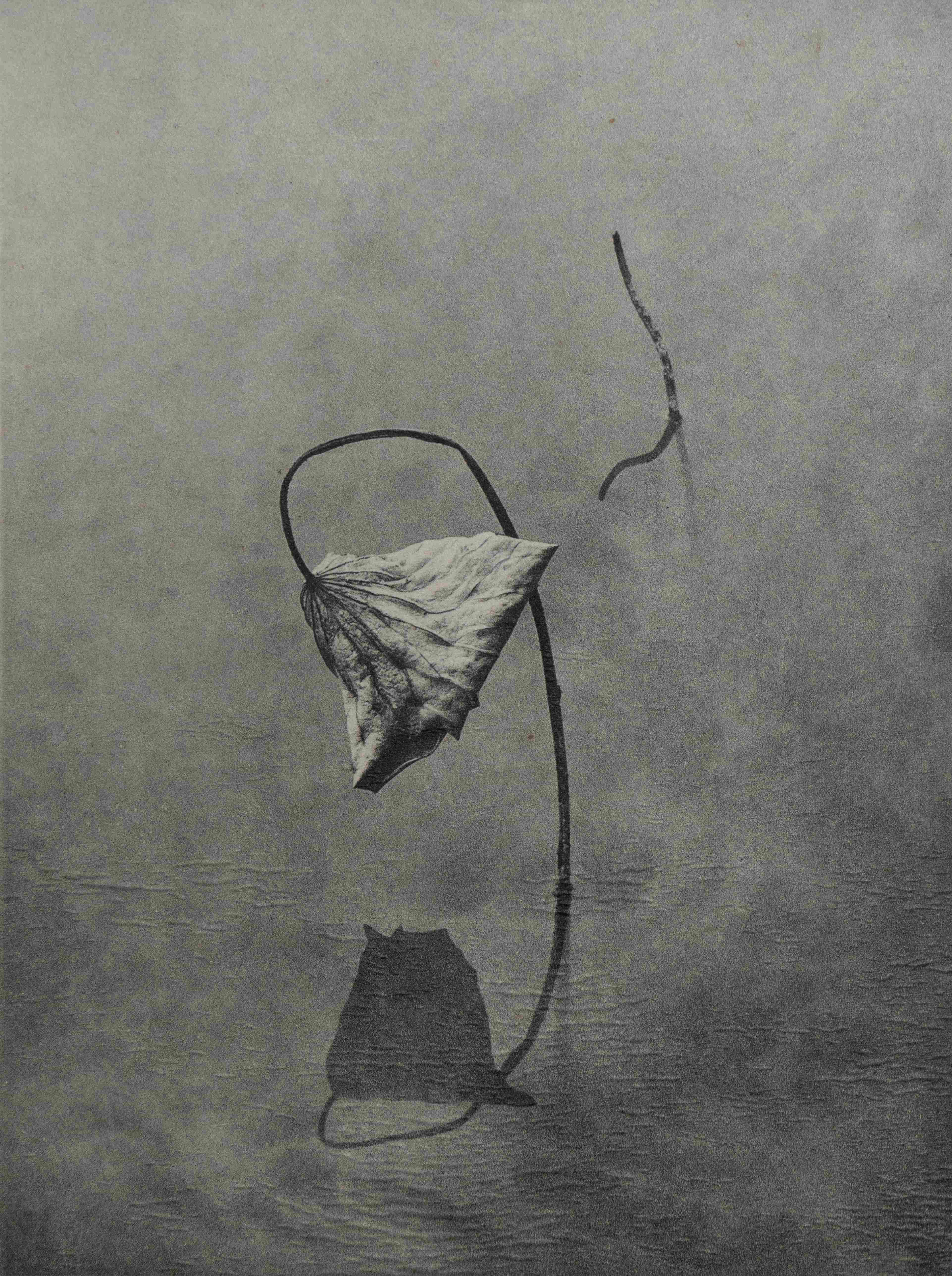 《孤荷》+耿瑞阳+13153380869.jpg