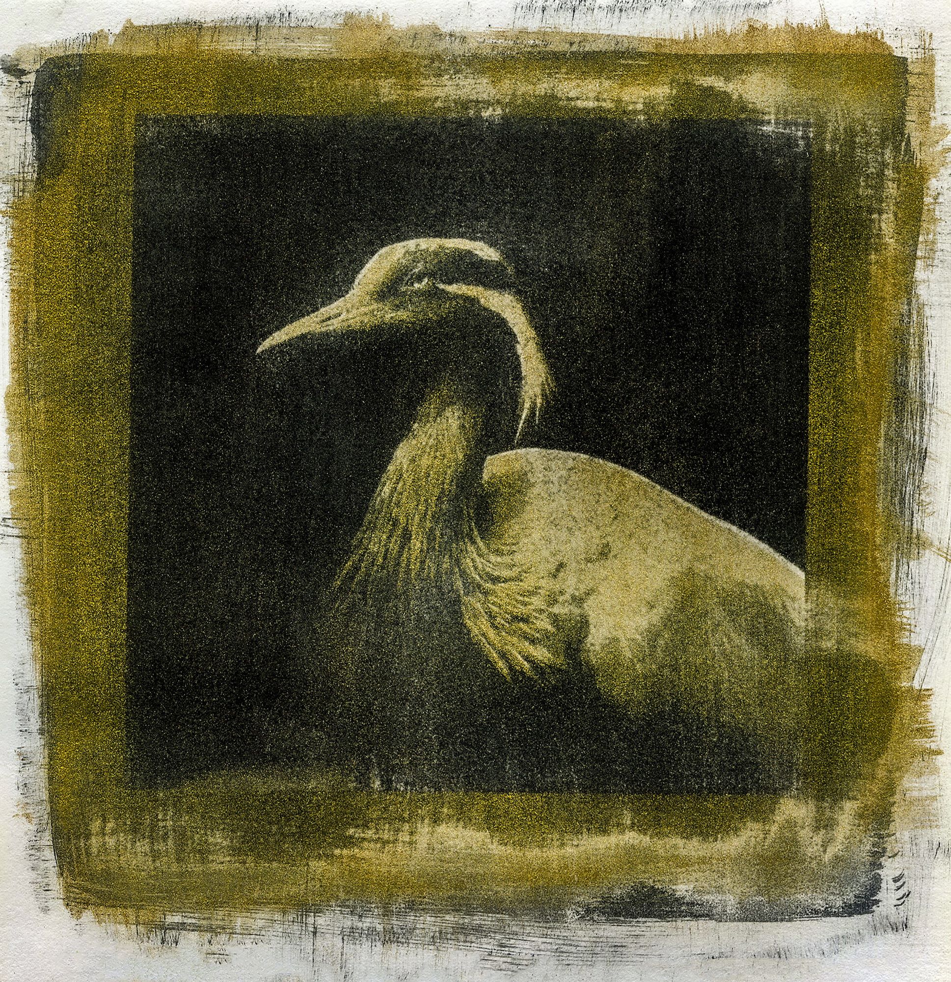 张宇祺《蓑羽鹤》（双色树胶）16k-2023年12月60x60cm.jpg