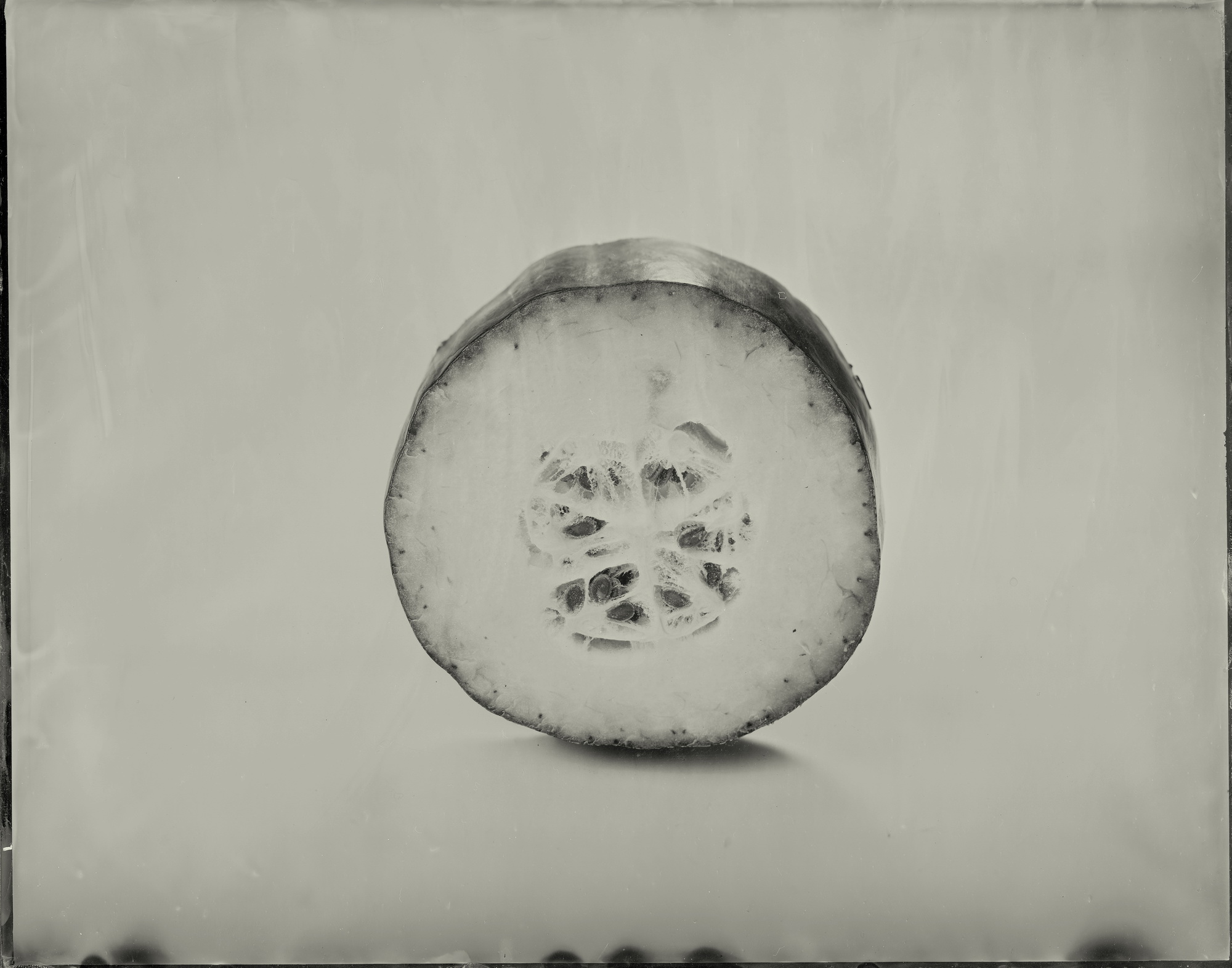 2冬瓜.jpg