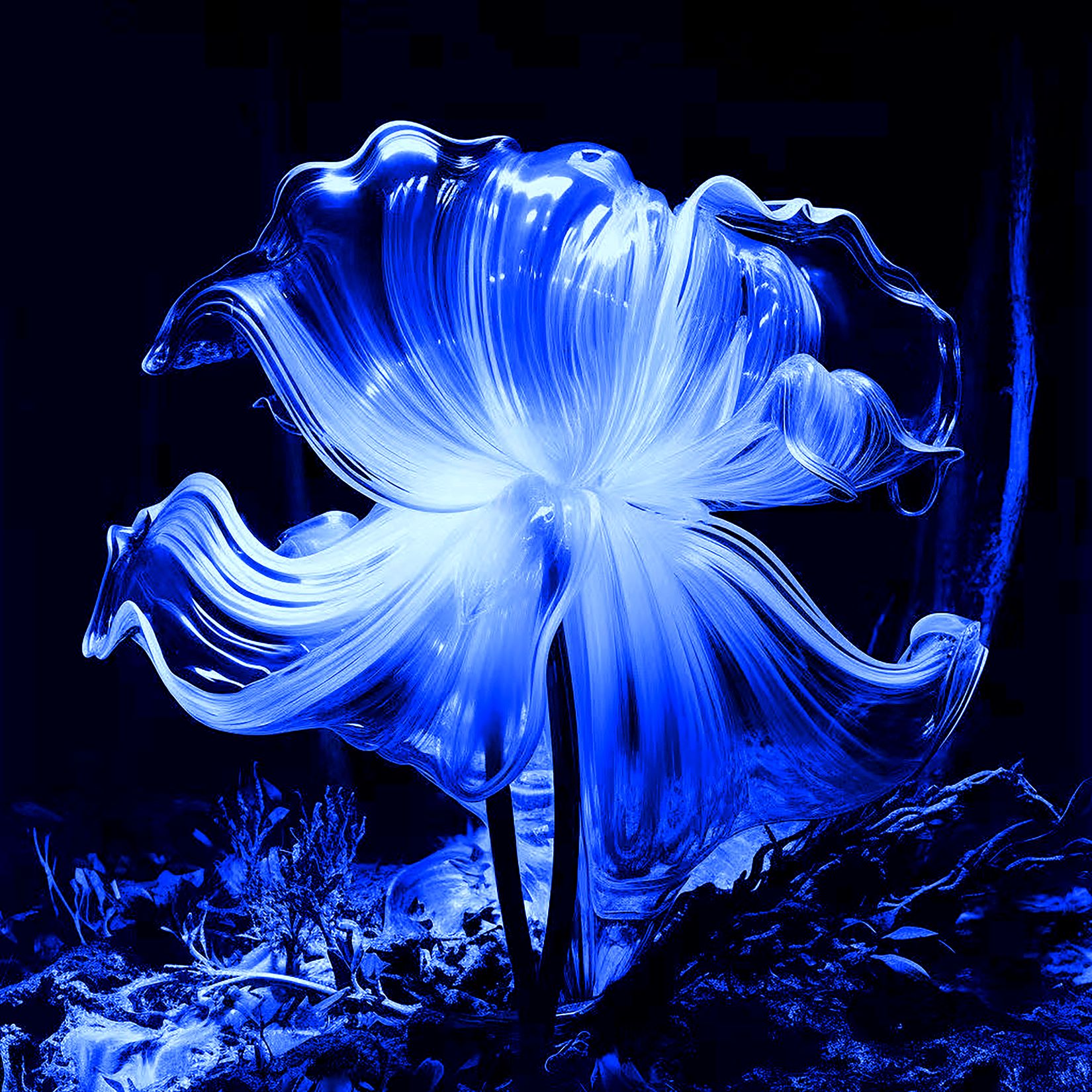 似花非花.jpg