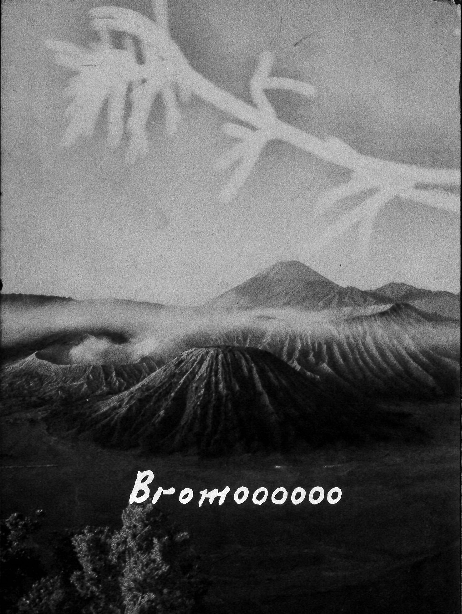 《bromoooooo》 白杉著（捐赠者：白杉）.jpg