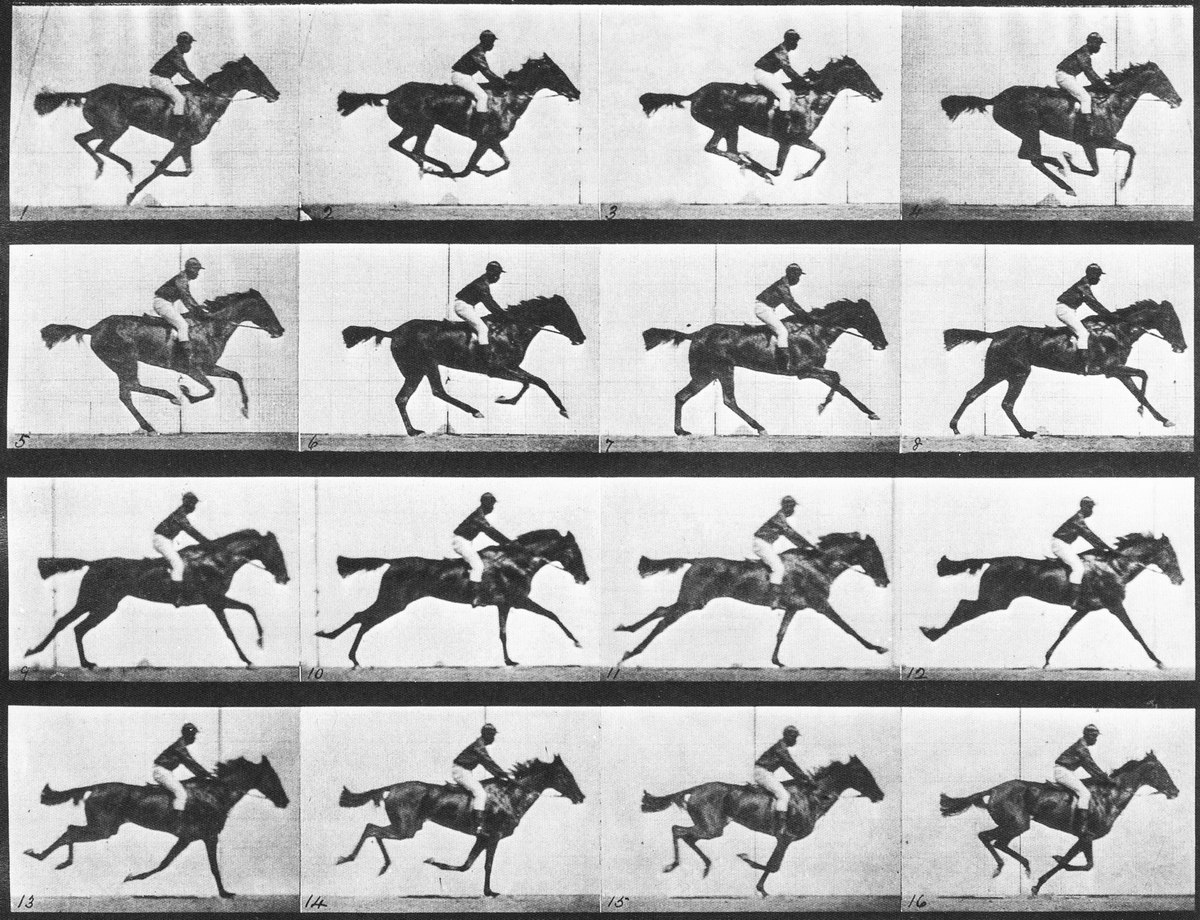 1887年  埃德沃德·迈布里奇《奔跑的马》.jpg