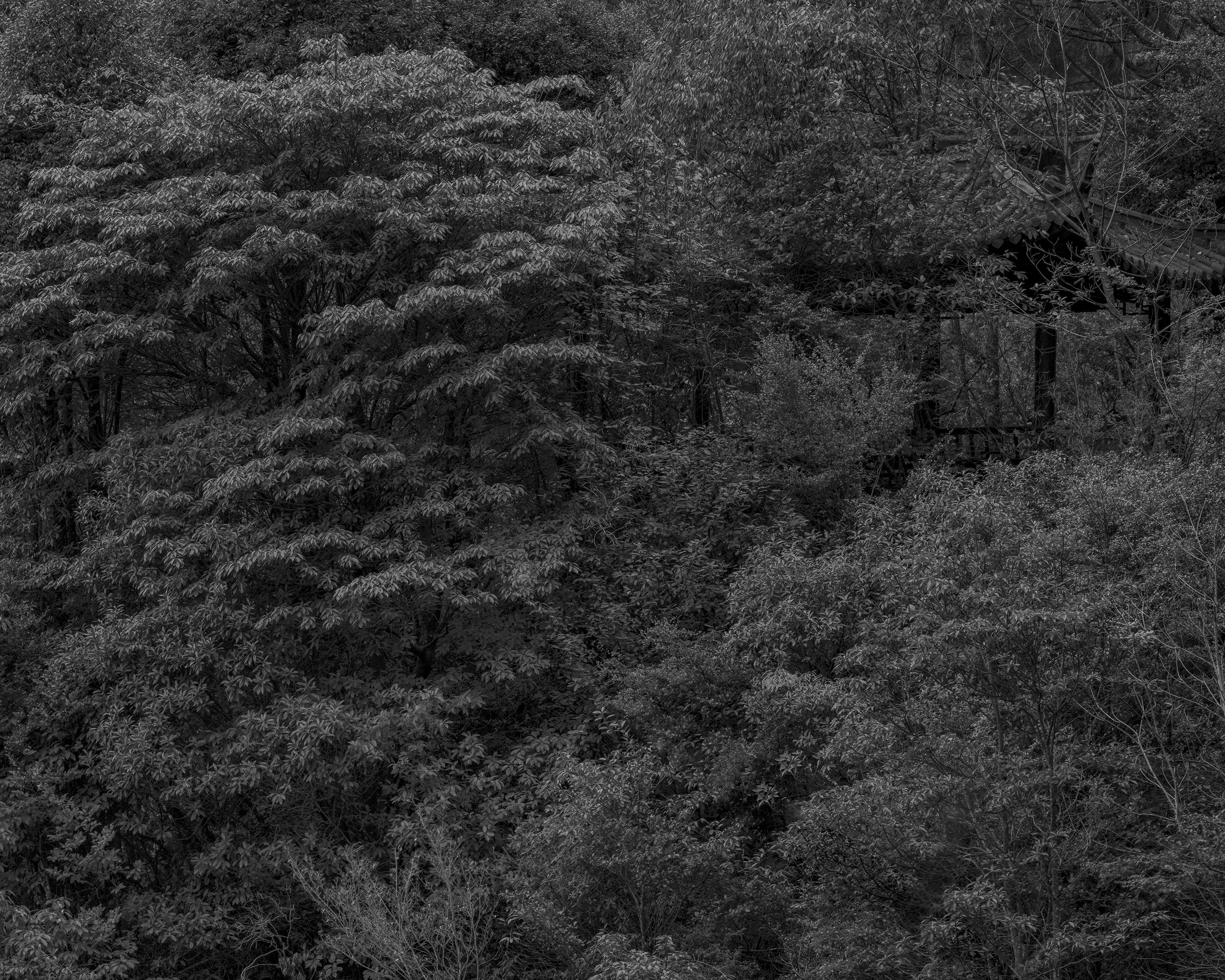 05牡丹亭-2023-舒巧敏 (10).jpg