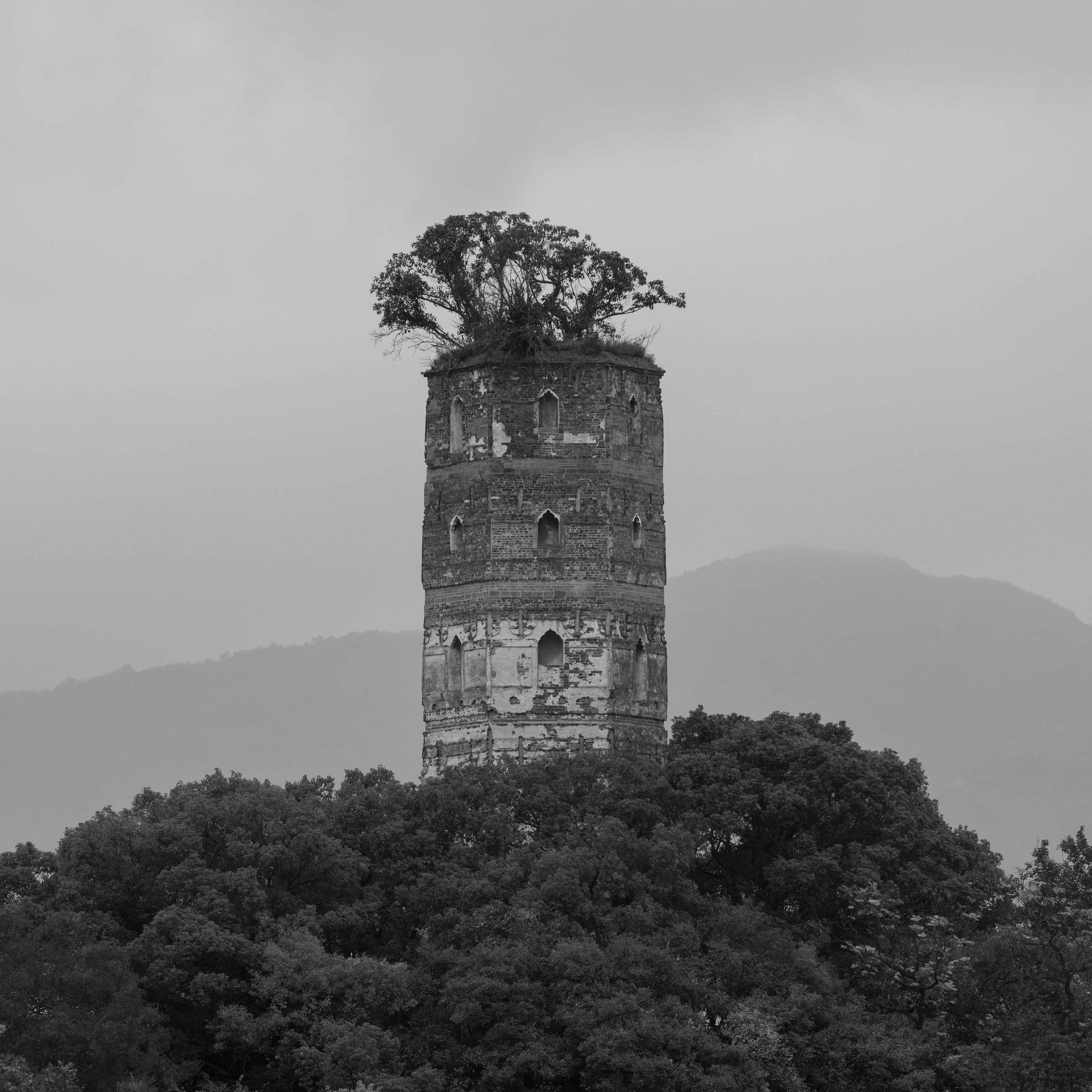 07孤屿东塔-2024-舒巧敏 (20).jpg