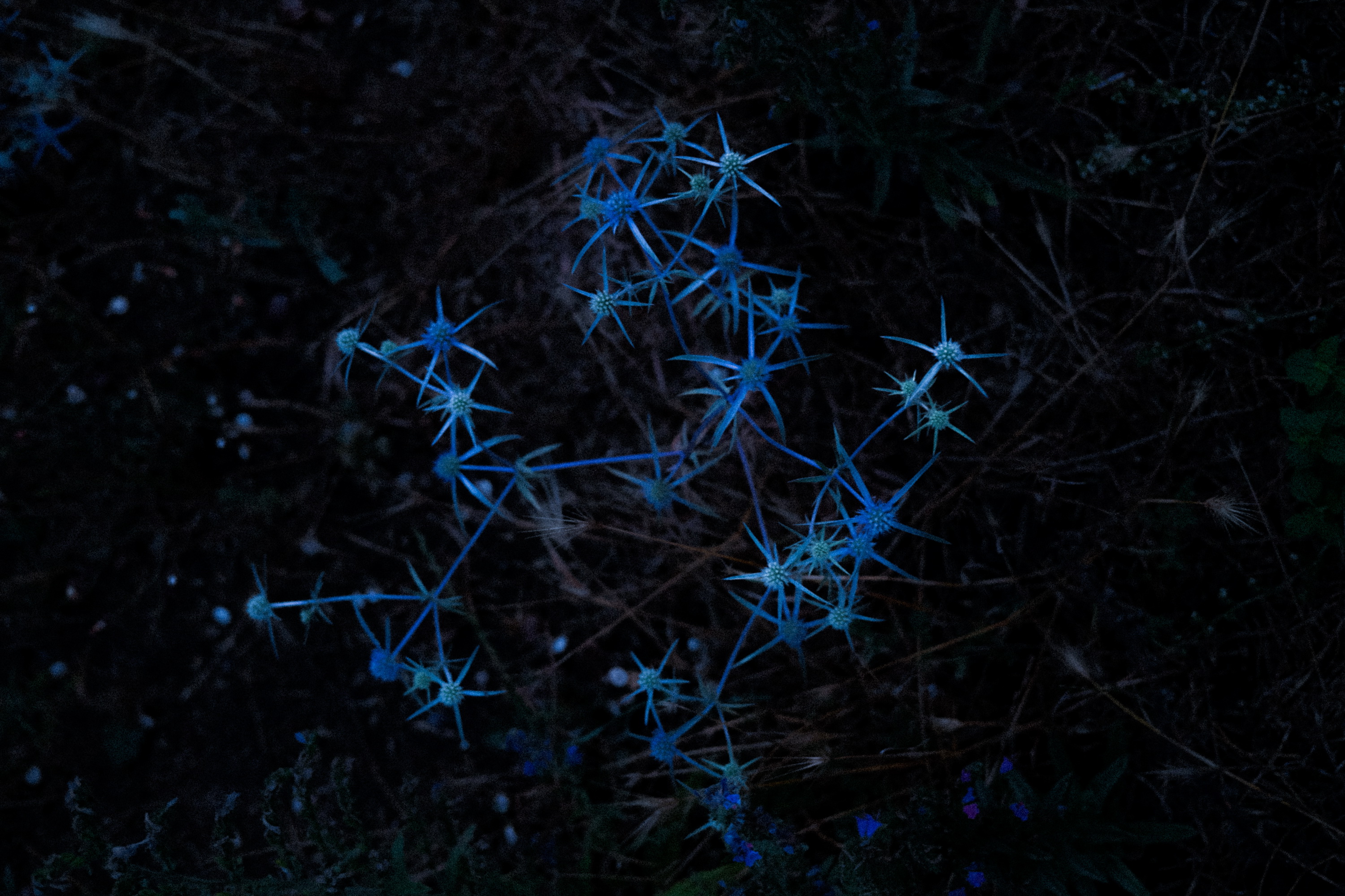 Beyond the Observable Universe Part1_Duan_L-135.jpg